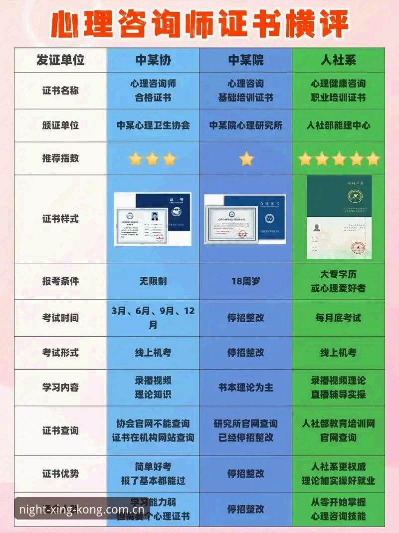 星空CN新版入口避坑指南：7个实测要点帮你省下半小时